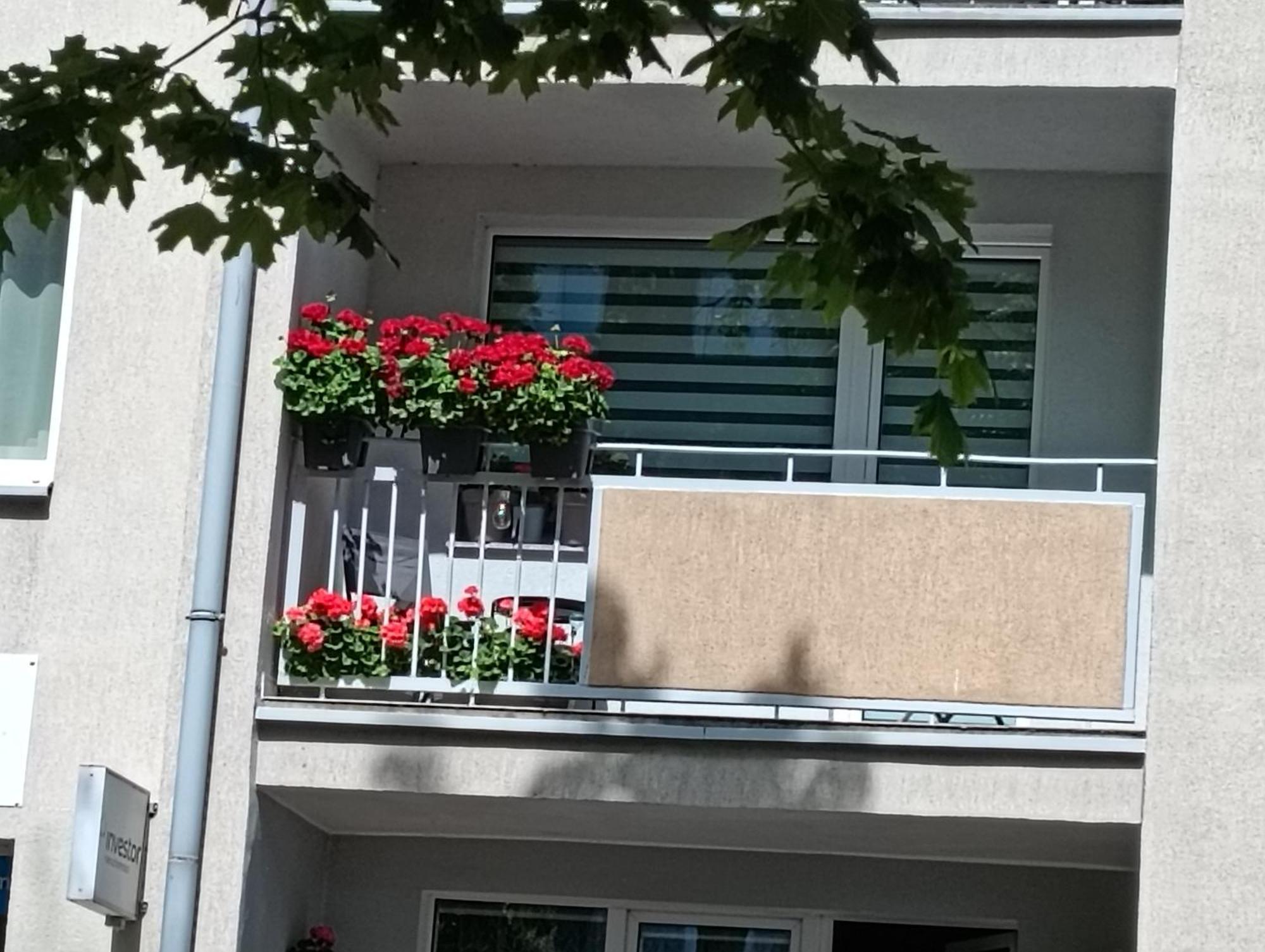 Apartament Ale Laba Kołobrzeg Buitenkant foto
